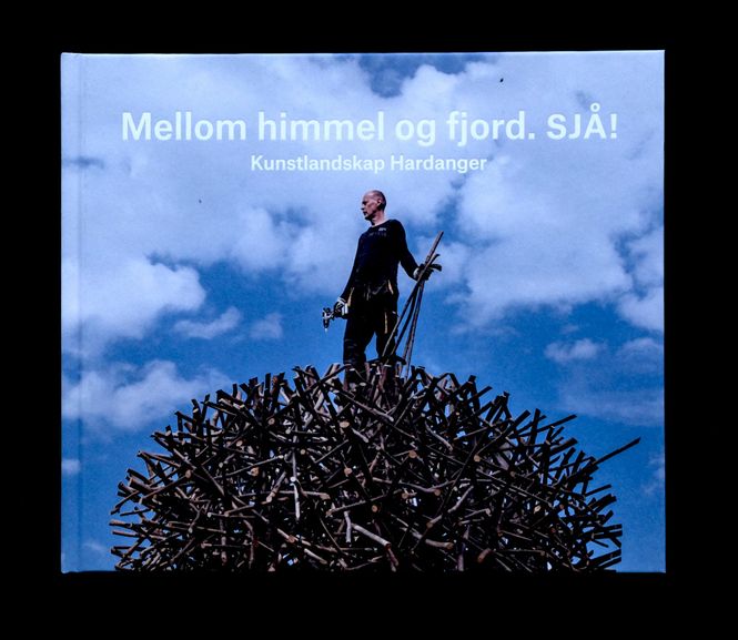 Hovedbilde Harding Puls - Mellom himmel og fjord. ...
