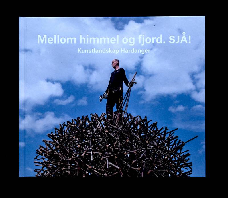 Harding Puls - Mellom himmel og fjord. SJÅ! Kunstlandskap Hardan