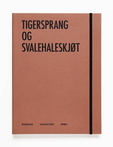 Line Bøhmer Løkken - Tigersprang og svanehaleskjøt