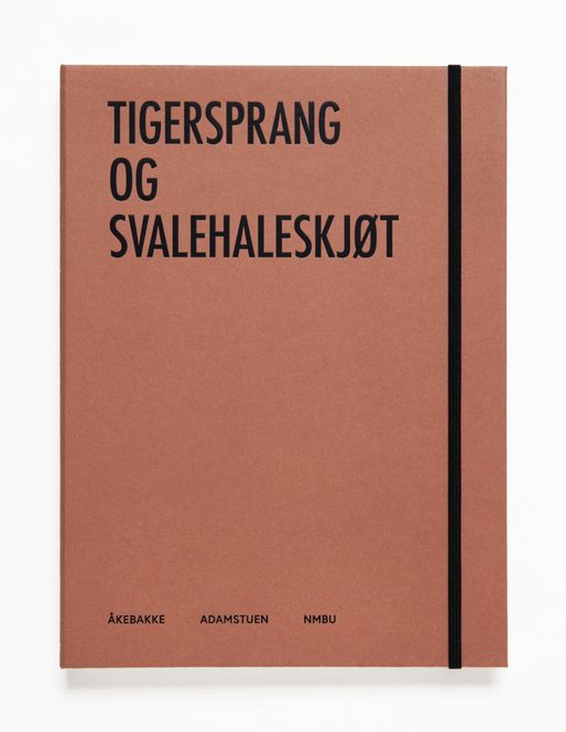 Hovedbilde Line Bøhmer Løkken - Tigersprang og ...