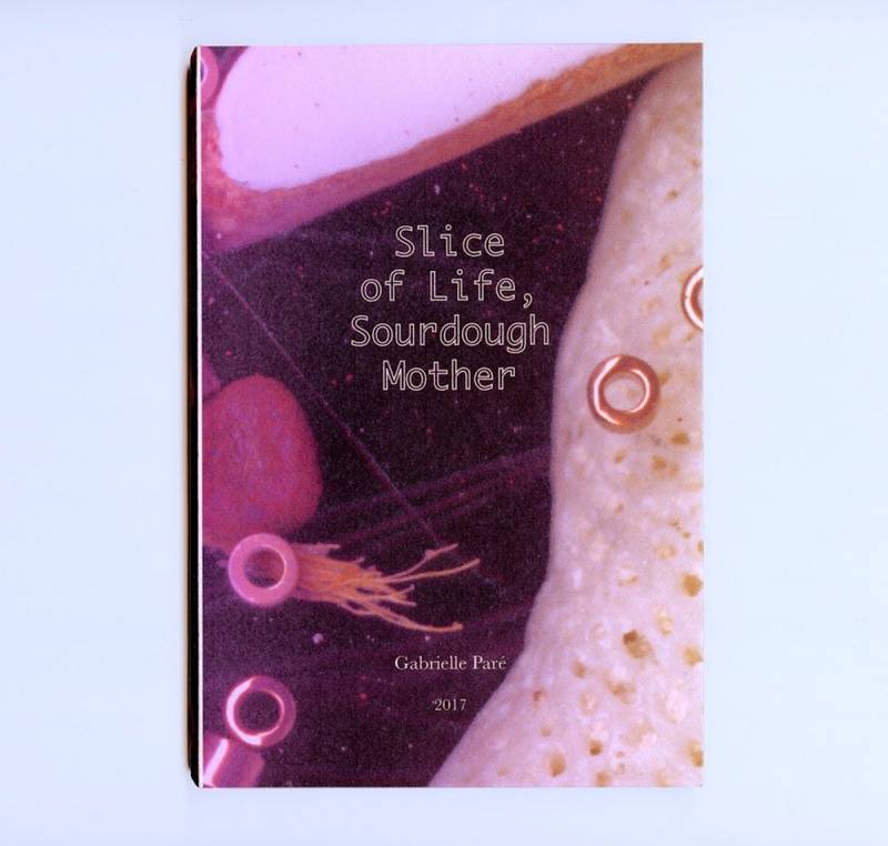 Gabrielle Paré - Slice of Life, Sourdough Mother