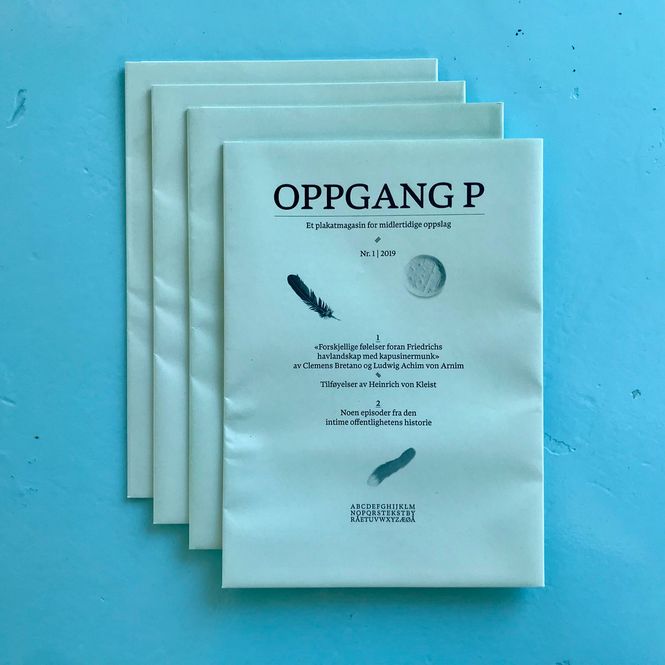 Hovedbilde Halvor Haugen - Oppgang P
