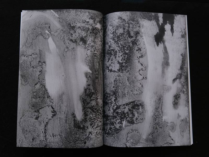 Birk Bjørlo - Snail trails and other signs of existence