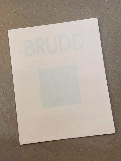 Hovedbilde Åsne Eldøy - Brudd