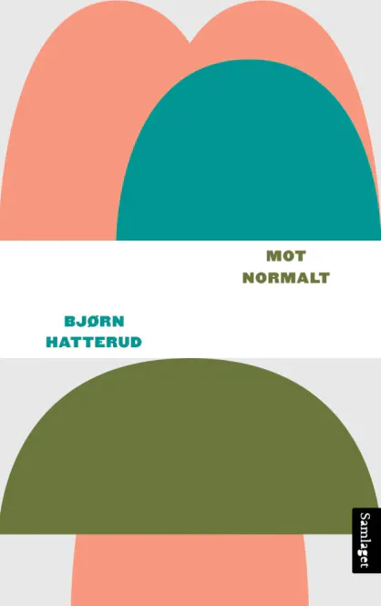 Hovedbilde Bjørn Hatterud - Mot normal