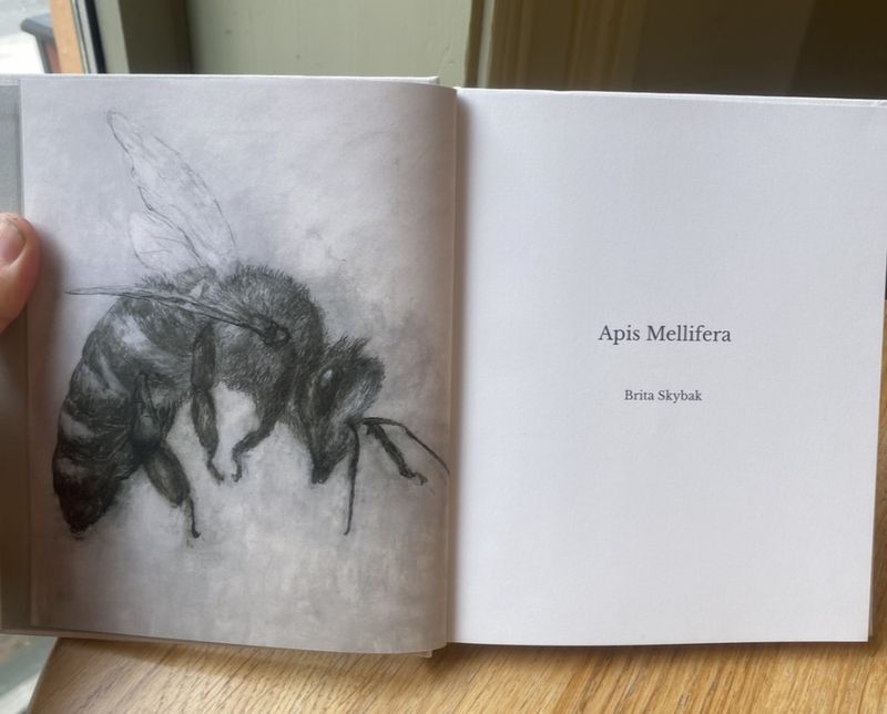 Brita Skybak - Apis Mellifera