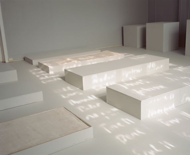 Hovedbilde Marit Arnekleiv - Valmueslekten / Papaver